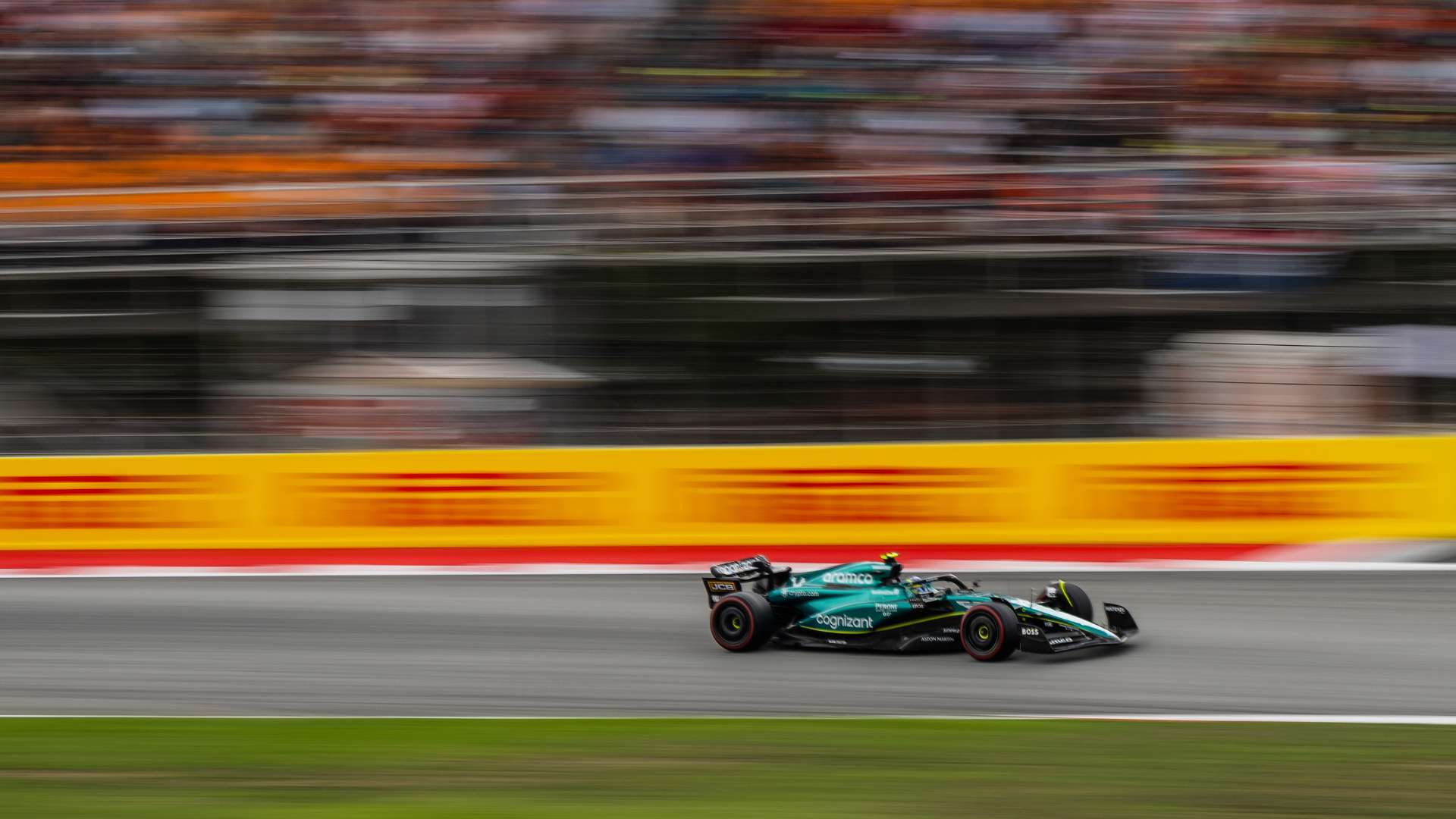 长与发展至 长与发展至